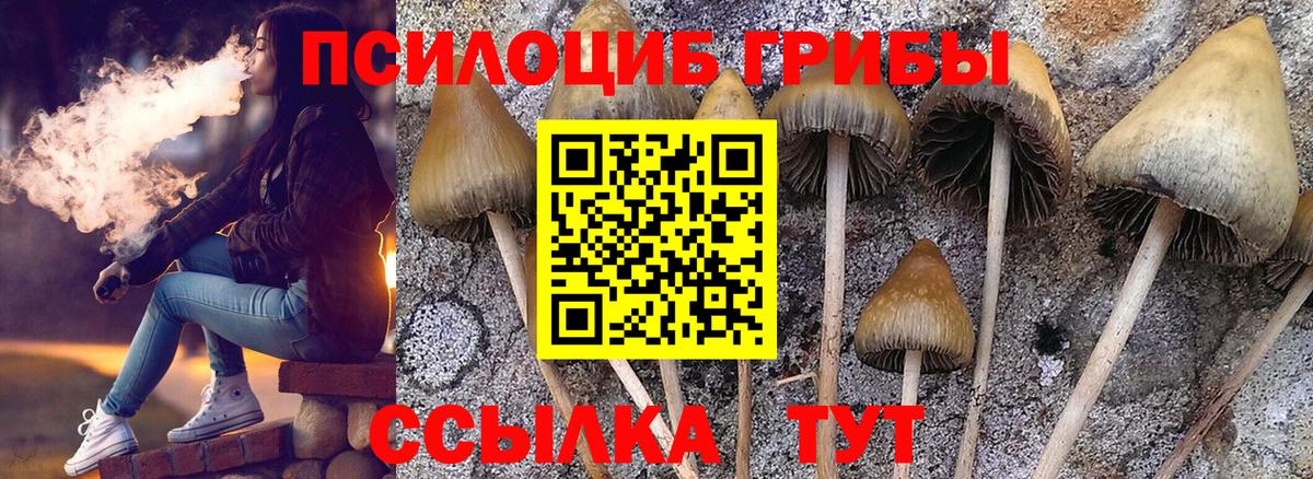 Галлюциногенные грибы Magic Shrooms Знаменск