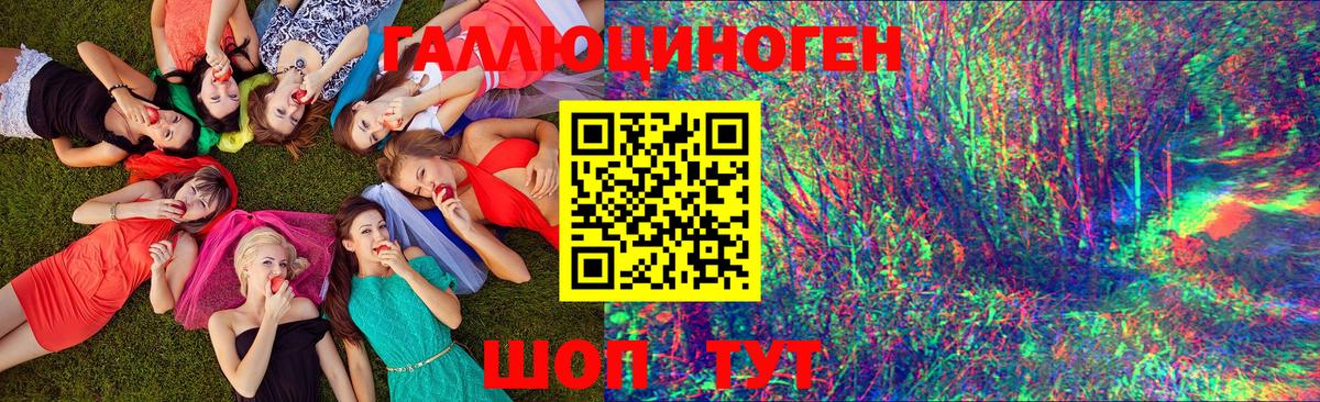 Псилоцибиновые грибы Psilocybine cubensis  Вход с VPN  что такое наркотик  Знаменск 