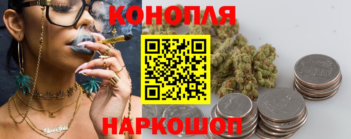 Каннабис планчик Знаменск