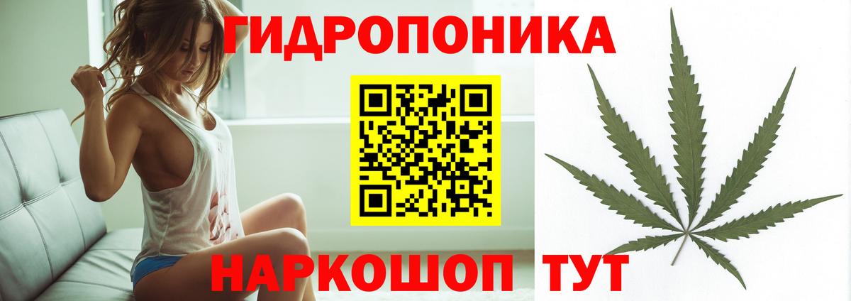 МЕФ Знаменск